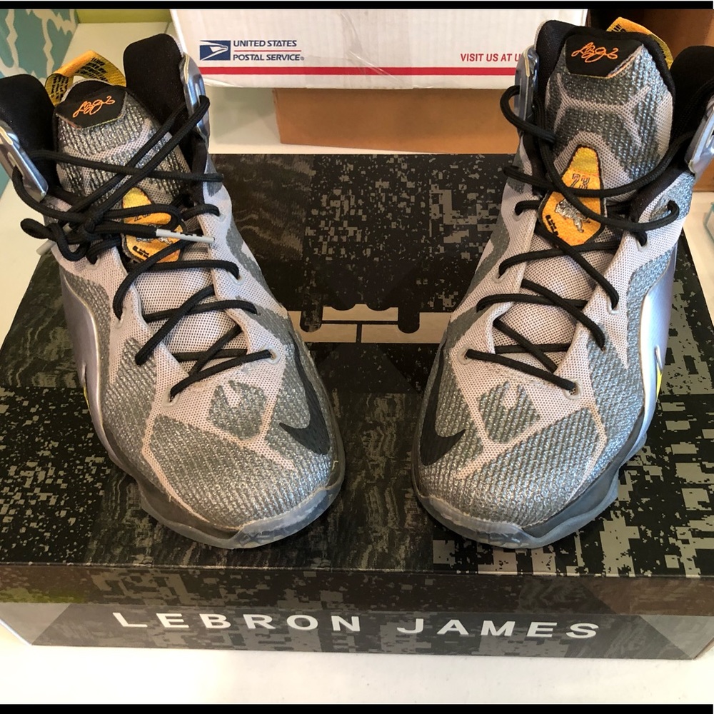 LEBRON XIV Basketball Shoes